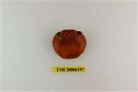 藏品(白紋方蟹)的圖片